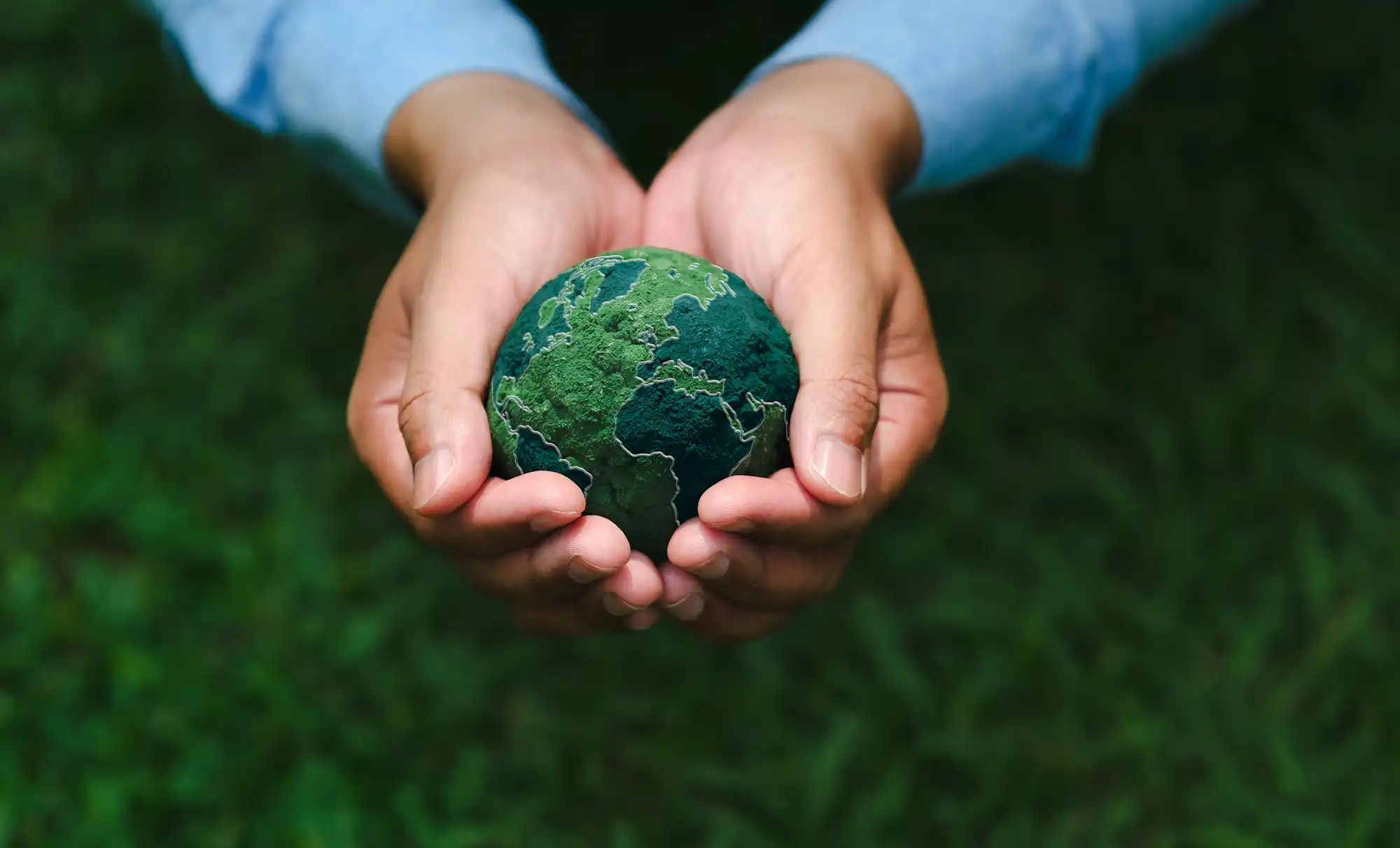 Mains avec une terre